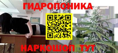 амф Кунгур